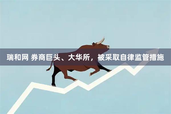 瑞和网 券商巨头、大华所，被采取自律监管措施