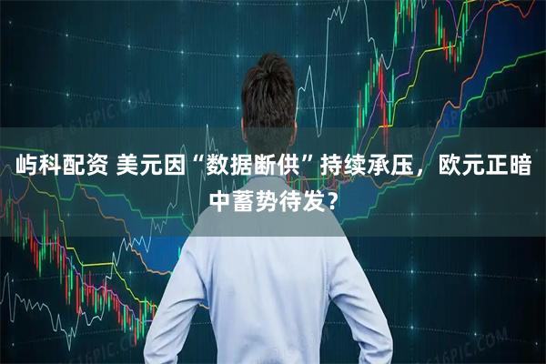 屿科配资 美元因“数据断供”持续承压，欧元正暗中蓄势待发？