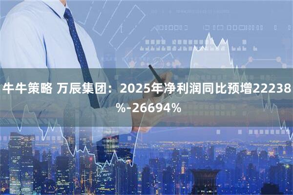 牛牛策略 万辰集团：2025年净利润同比预增22238 %-26694%