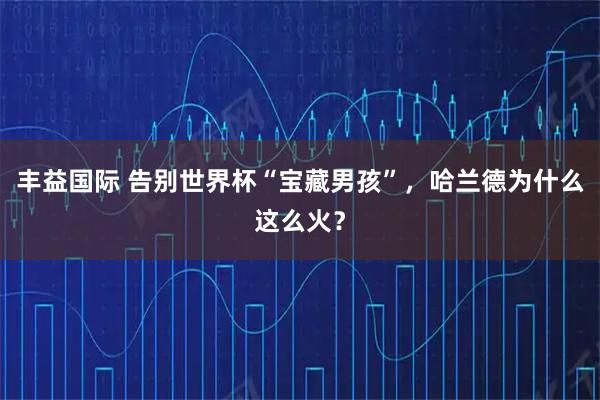 丰益国际 告别世界杯“宝藏男孩”，哈兰德为什么这么火？